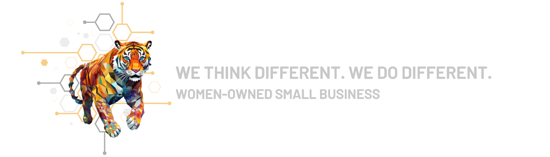 Tiger Byte Logo